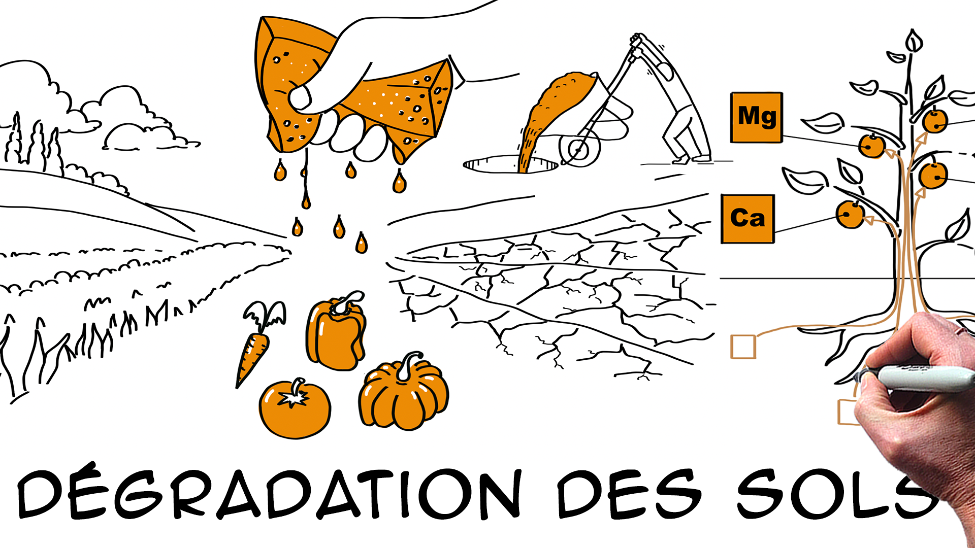 Comprendre la dégradation des sols